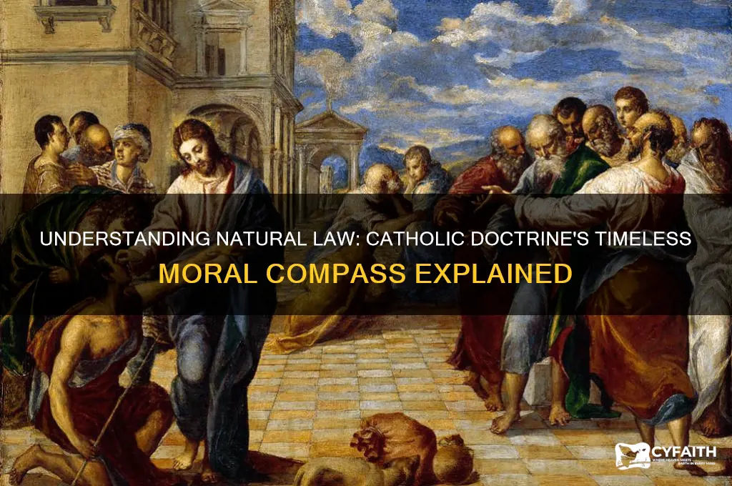 what is natural law in catholic doctrine