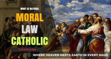 Understanding Natural Moral Law in Catholic Teachings: Principles and Foundations