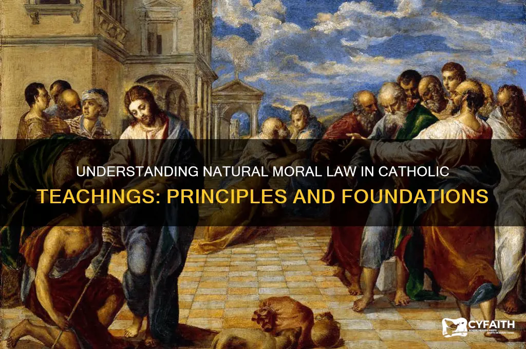 what is natural moral law catholic