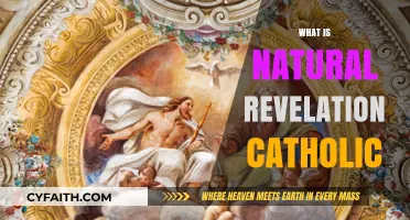 Understanding Natural Revelation in Catholic Theology: A Comprehensive Guide