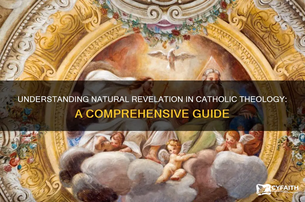 what is natural revelation catholic