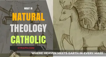 Exploring Natural Theology: Catholic Perspectives on Faith and Reason