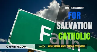 Catholic Salvation Essentials: Faith, Sacraments, and Grace Explained
