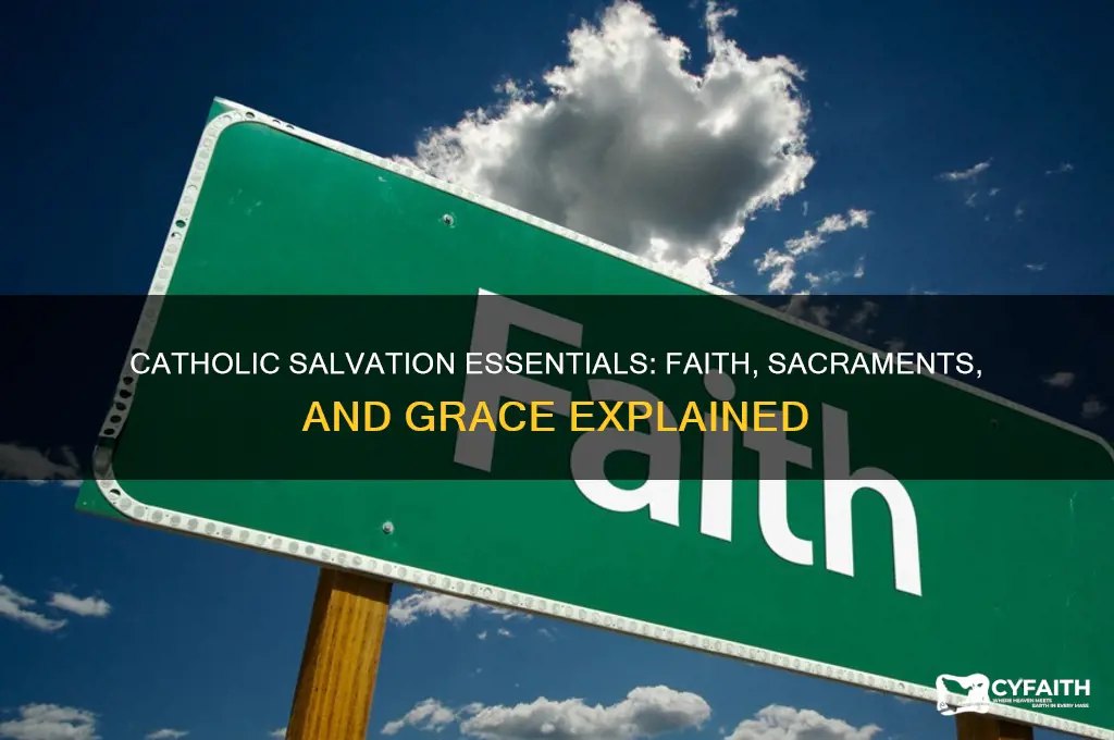 what is necessary for salvation catholic