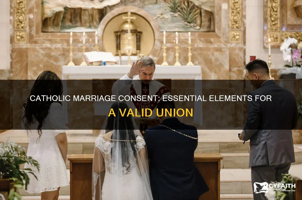 what is necessary for true consent for a catholic marriage