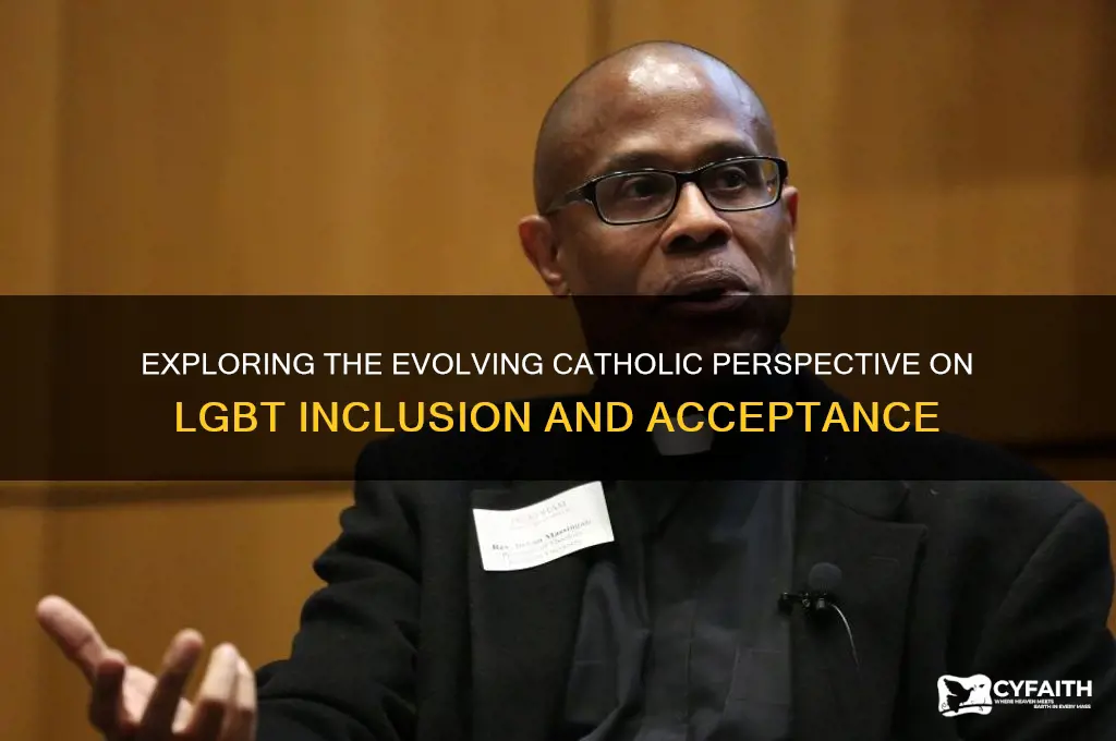 what is new catholic view on lgbt