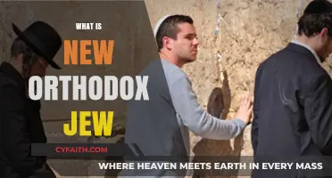 Exploring the Modern Identity of New Orthodox Judaism Today