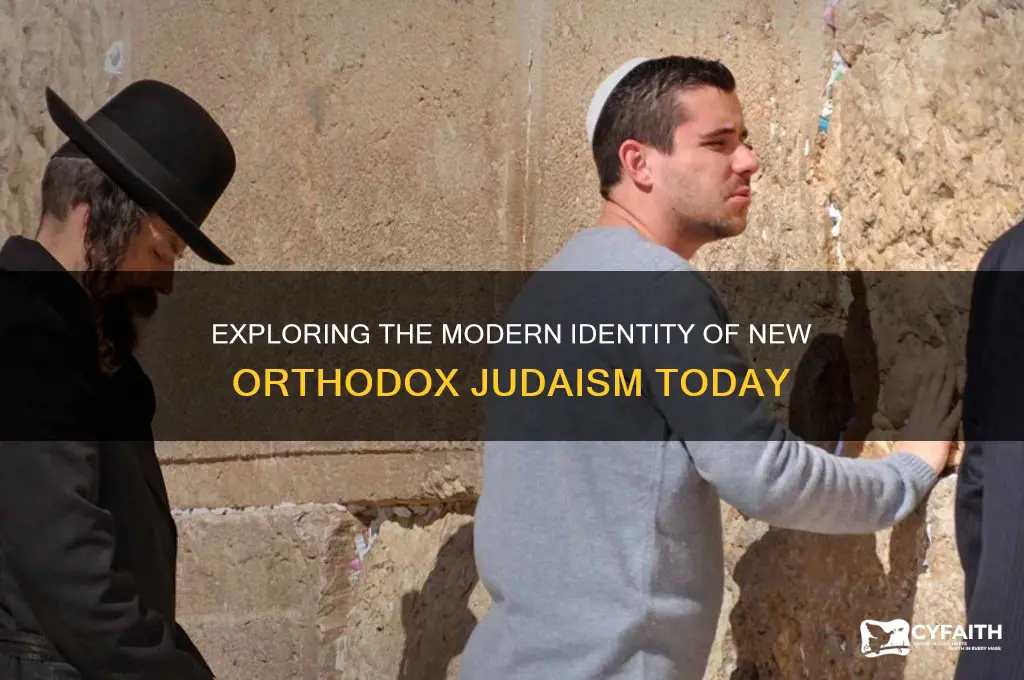 what is new orthodox jew