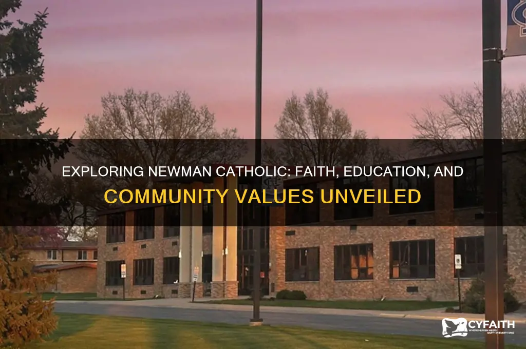 what is newman catholic