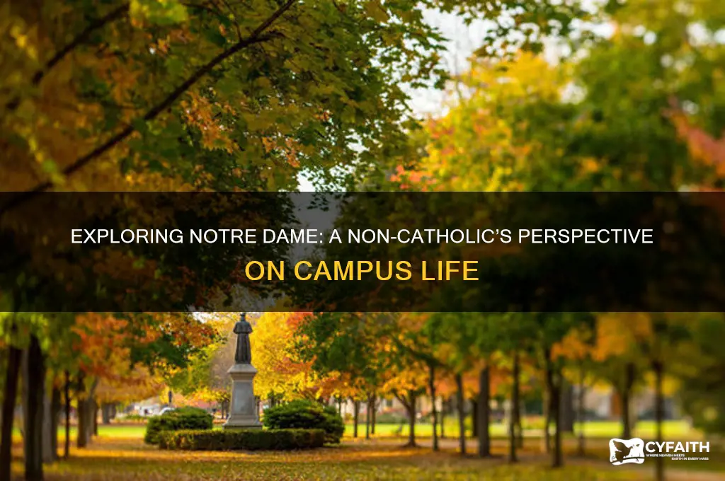 what is notre dame like for non catholic
