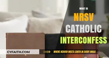 Understanding the NRSV Catholic Interconfessional Bible Translation