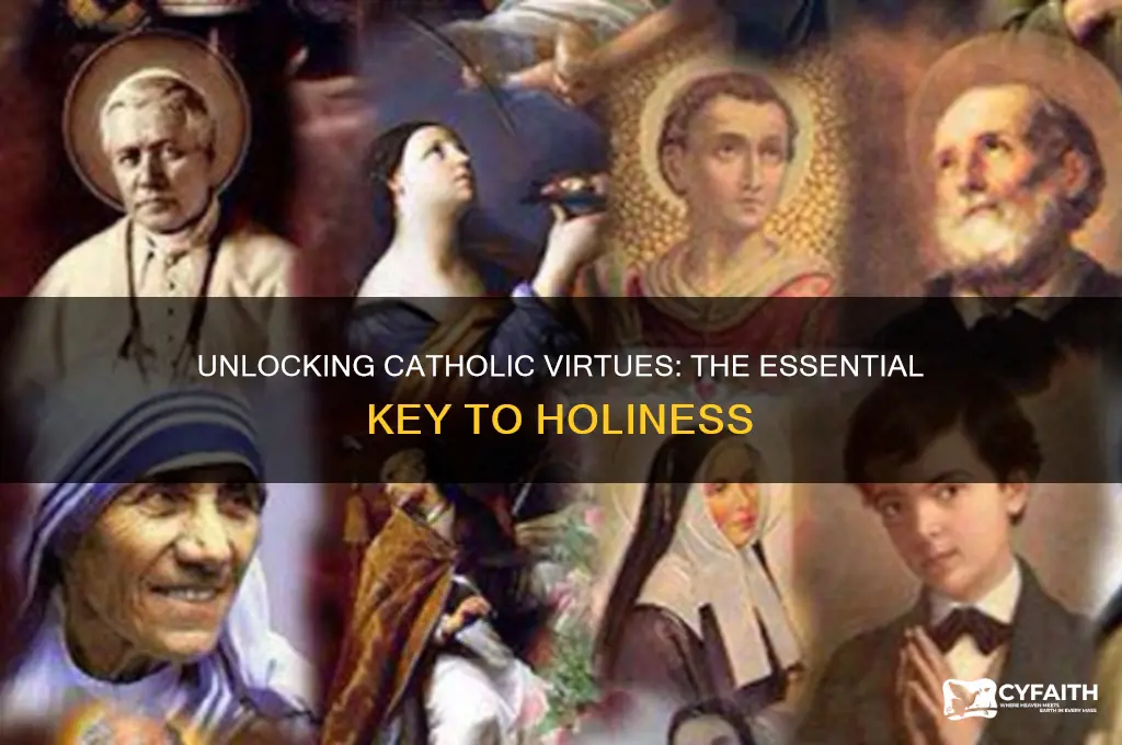 what is one key to catholic virtues