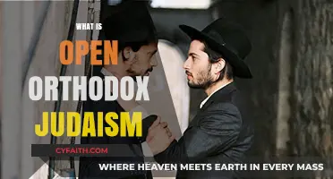 Exploring Open Orthodox Judaism: Beliefs, Practices, and Modern Adaptations