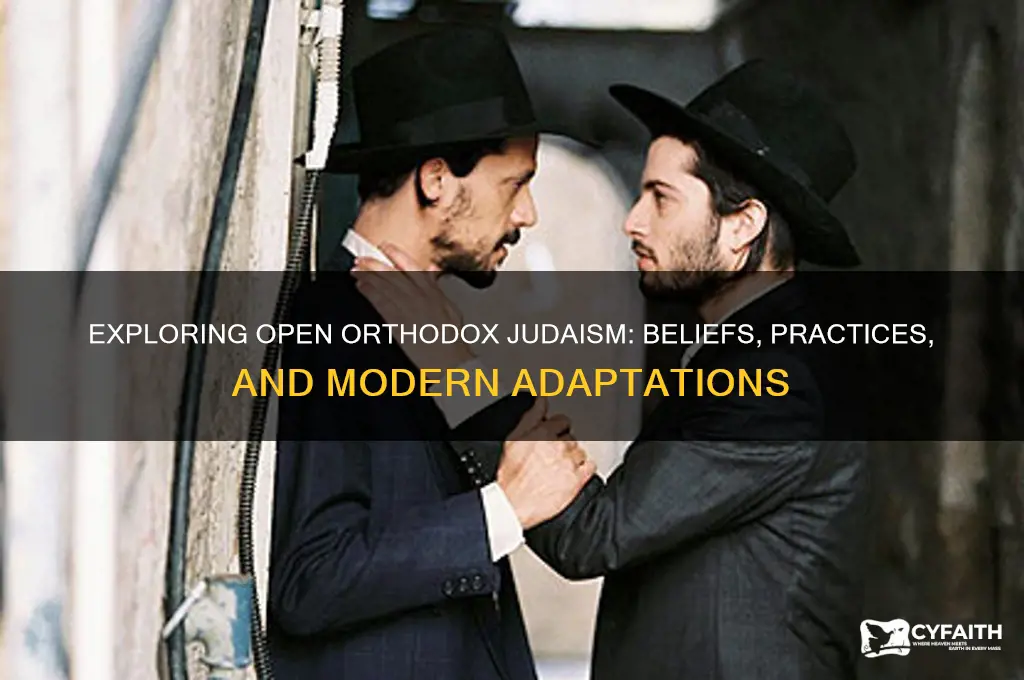 what is open orthodox judaism