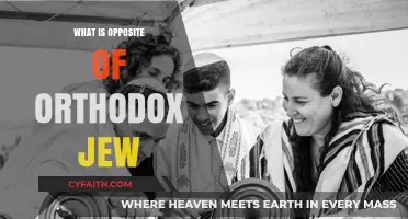 Exploring Progressive Judaism: The Antithesis of Orthodox Jewish Practices