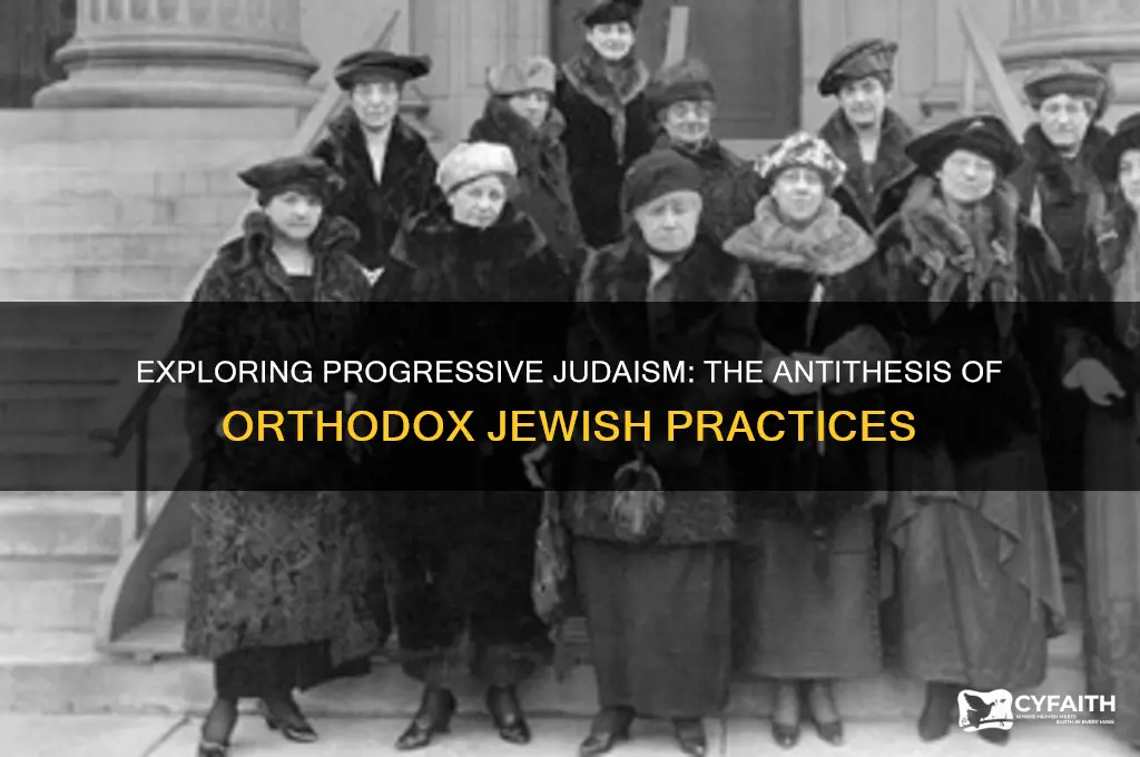 what is opposite of orthodox jew
