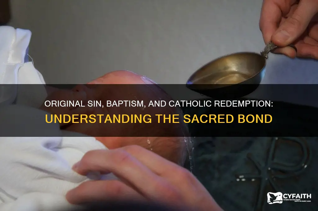 what is orginal sin and baptism catholic