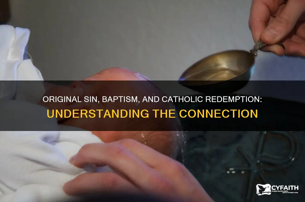 what is original sin and baptism catholic