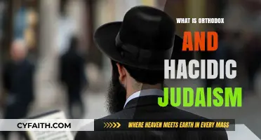 Orthodox vs. Hasidic Judaism: Exploring Traditions, Practices, and Beliefs