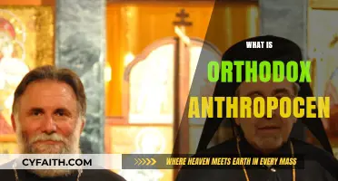Understanding Orthodox Anthropocentrism: Human-Centered Worldviews Explained