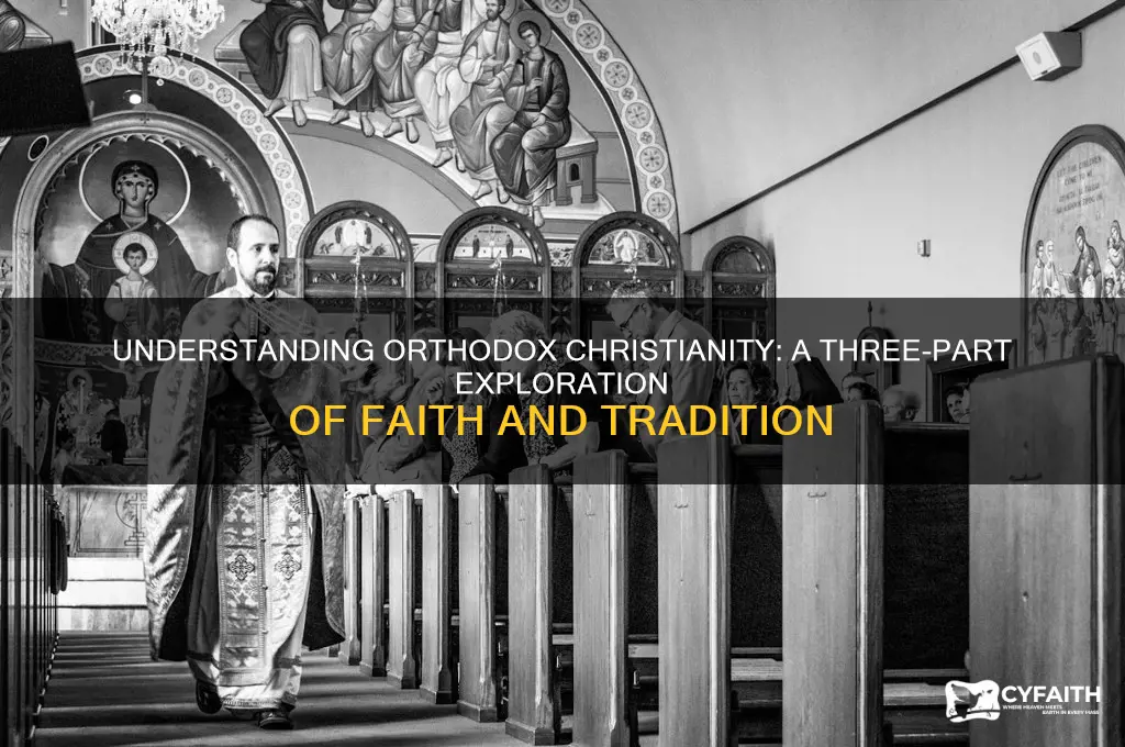 what is orthodox christianity an answer in three parts