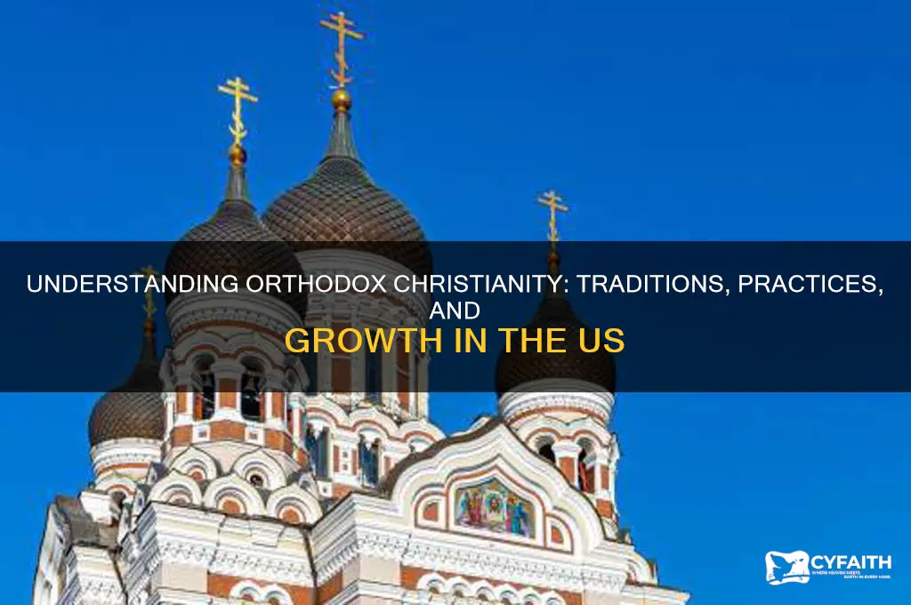 what is orthodox christianity in the us