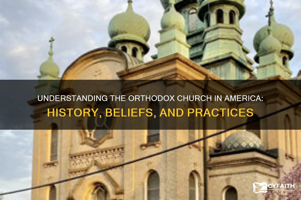 what is orthodox church of america
