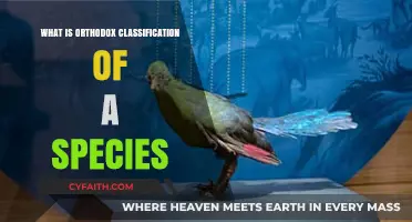 Understanding the Orthodox Classification of Species: A Comprehensive Overview