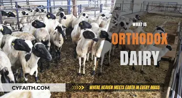 Understanding Orthodox Dairy: Traditional Practices and Modern Significance