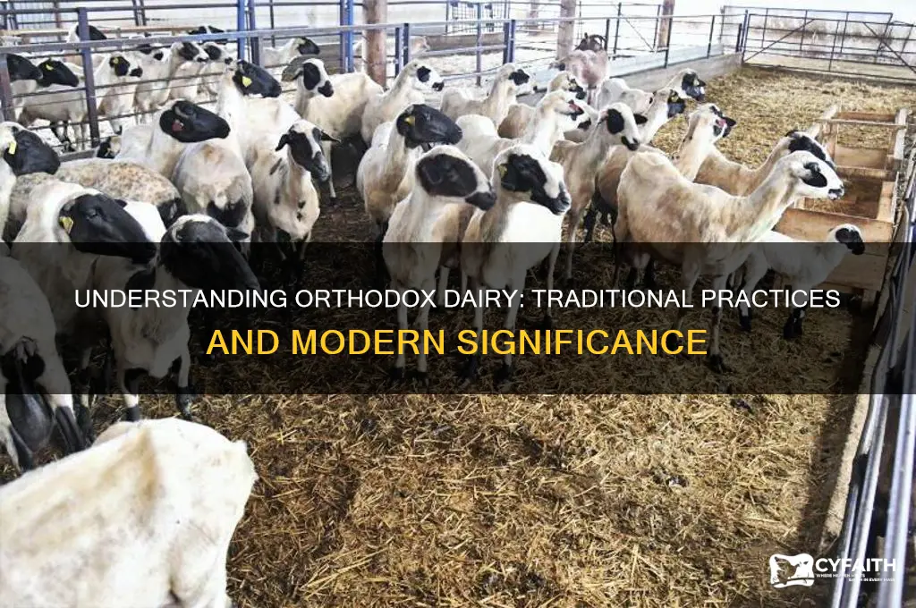 what is orthodox dairy