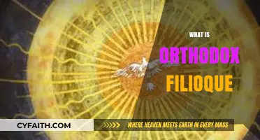 Understanding the Orthodox Filioque: Historical Roots and Theological Implications
