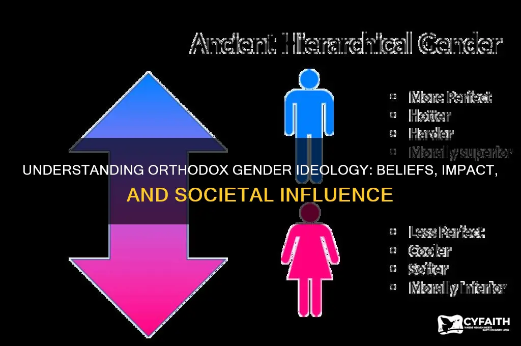 what is orthodox gender ideology