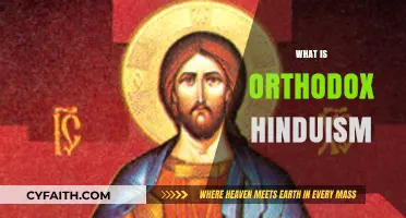 Understanding Orthodox Hinduism: Core Beliefs, Practices, and Traditions Explained