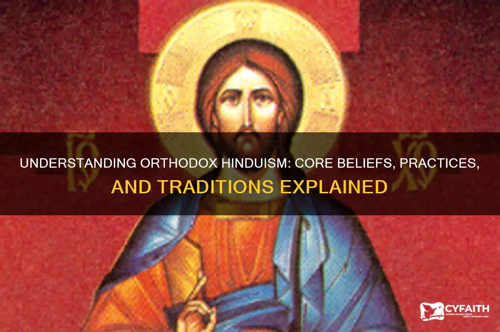 what is orthodox hinduism