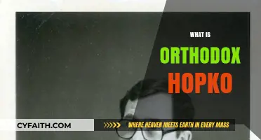 Understanding Orthodox Hopko: A Comprehensive Guide to Its Meaning and Significance