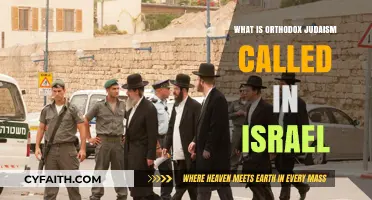 Understanding Orthodox Judaism's Name and Role in Israeli Society