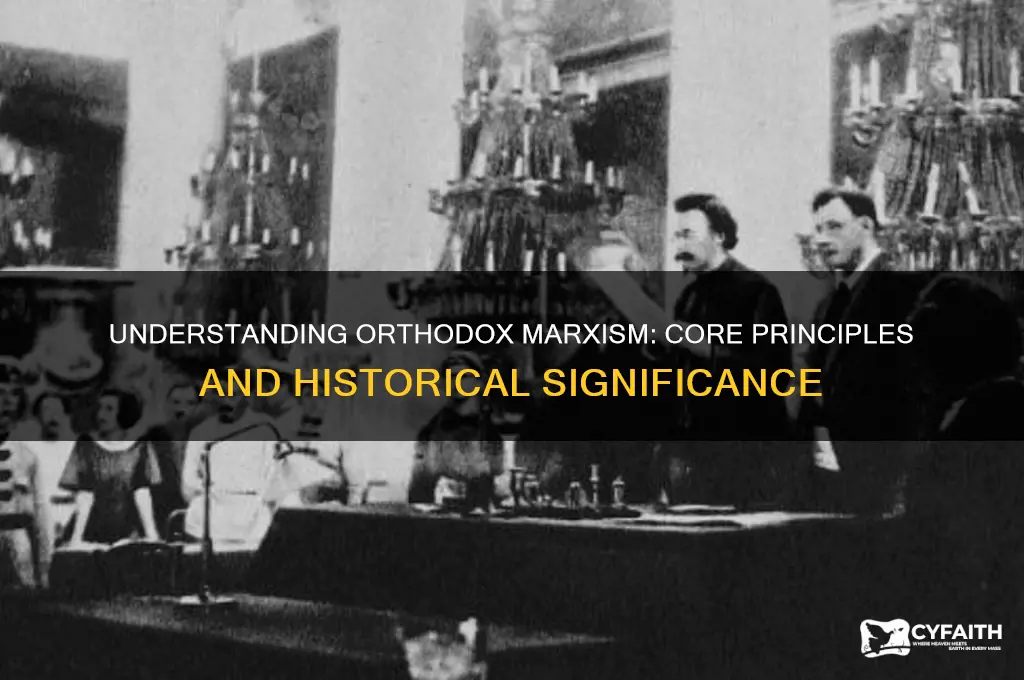 what is orthodox marxism