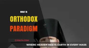 Understanding the Orthodox Paradigm: Core Principles and Modern Relevance