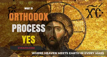 Understanding the Orthodox Process: A Comprehensive Guide to Its Meaning and Application