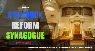 Understanding the Blend: Orthodox Reform Synagogue Explained Simply