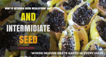Understanding Orthodox, Recalcitrant, and Intermediate Seeds: Key Differences Explained