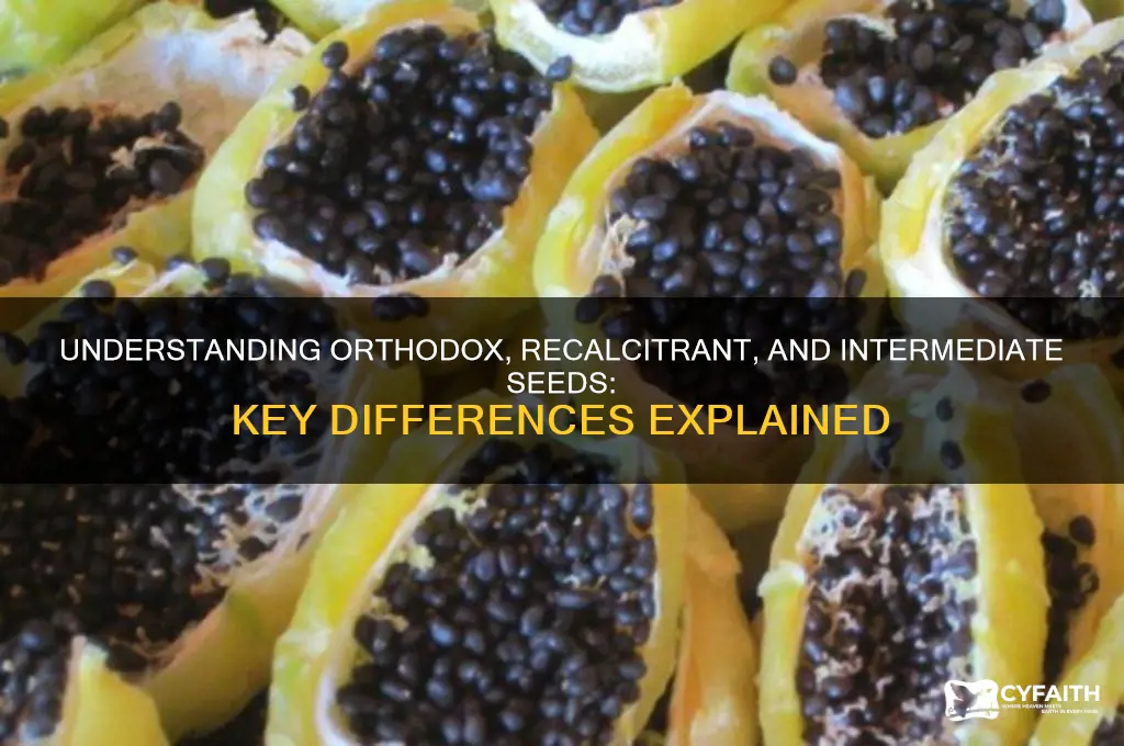 what is orthodox seeds recalcitrant seed and intermidiate seed