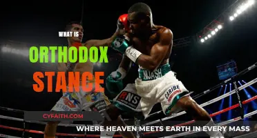 Understanding the Orthodox Stance: Boxing's Classic Defensive Position Explained