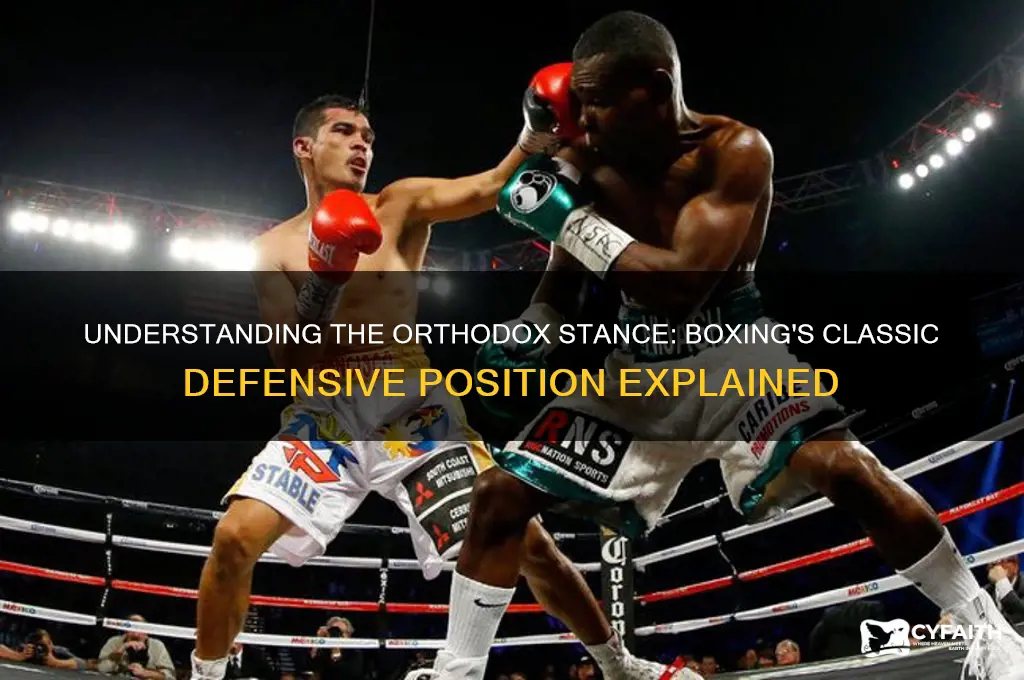 what is orthodox stance