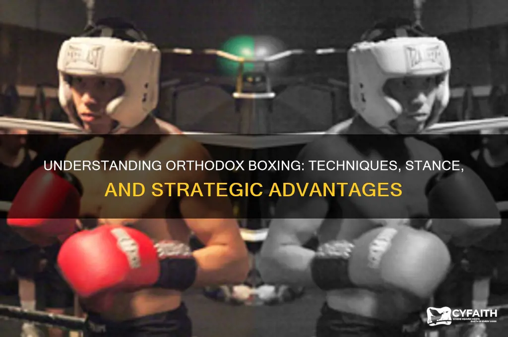 what is orthodox style boxing