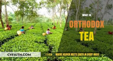 Exploring Orthodox Tea: Traditional Processing, Rich Flavors, and Unique Charm