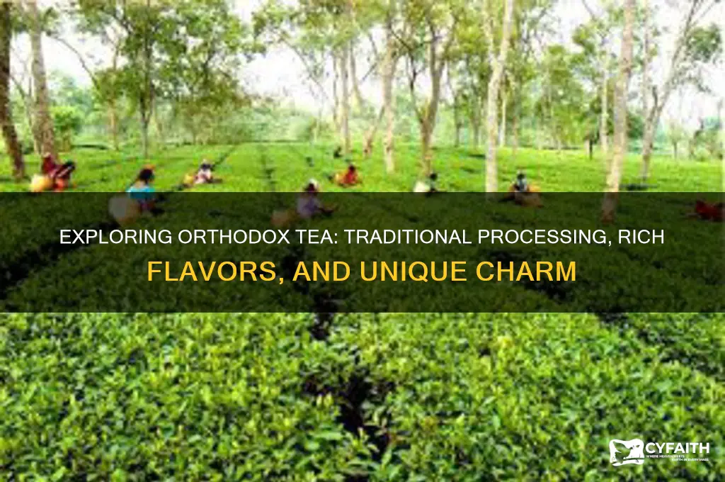 what is orthodox tea