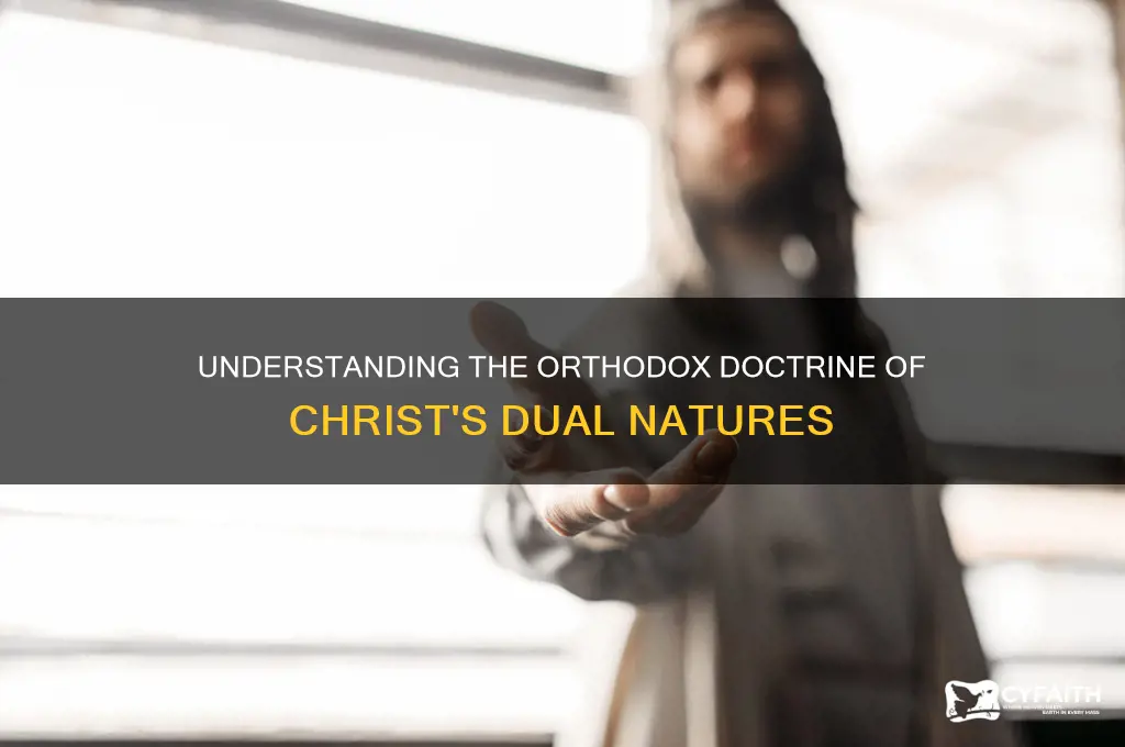 what is orthodox teaching on the natures of christ