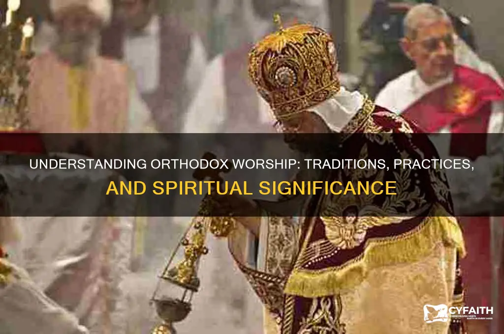 what is orthodox worship