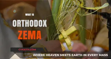 Understanding Orthodox Zema: Origins, Practices, and Cultural Significance Explained